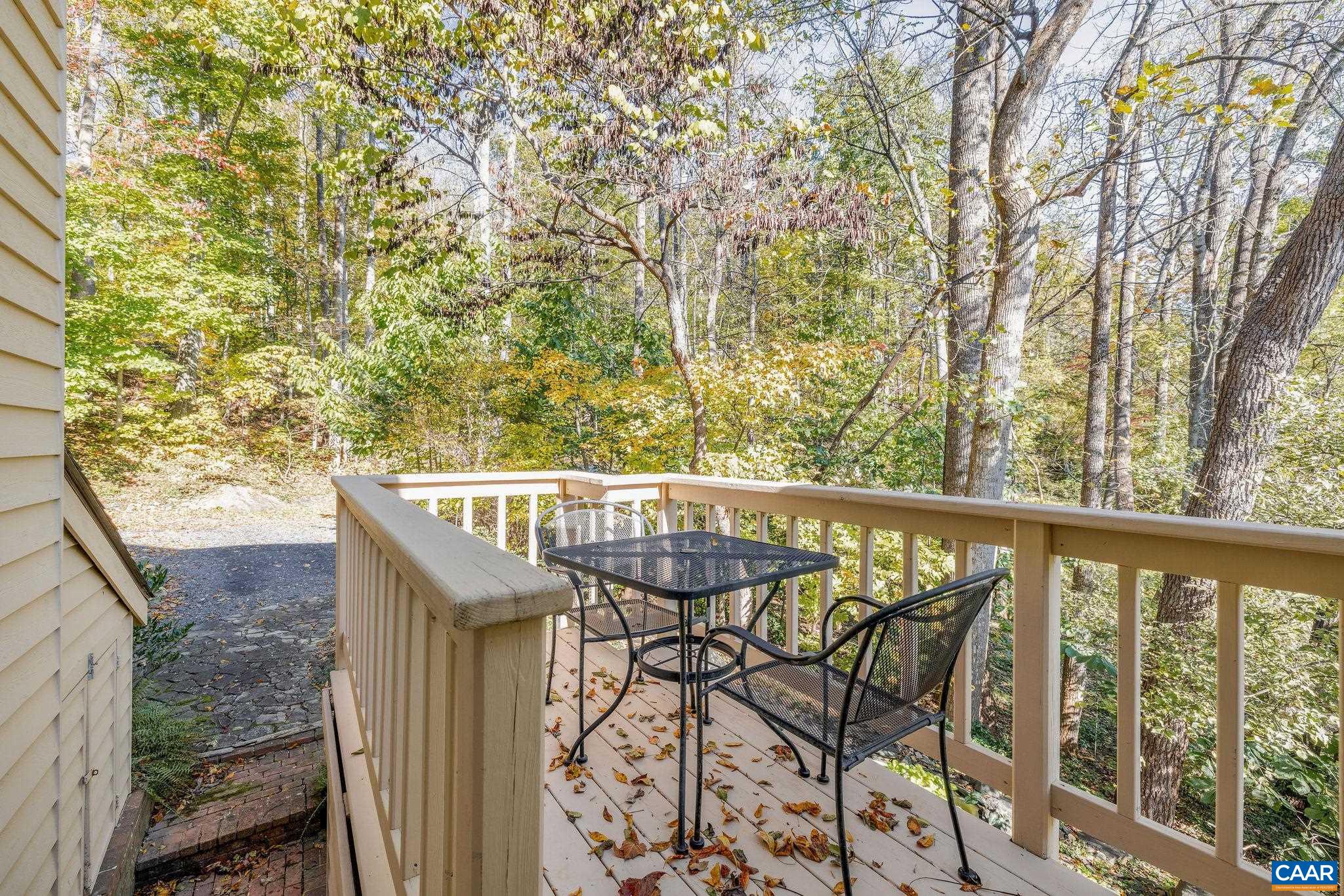 987 Rodes Farm Drive Nellysford, VA 22958 - Photo 56 of 74