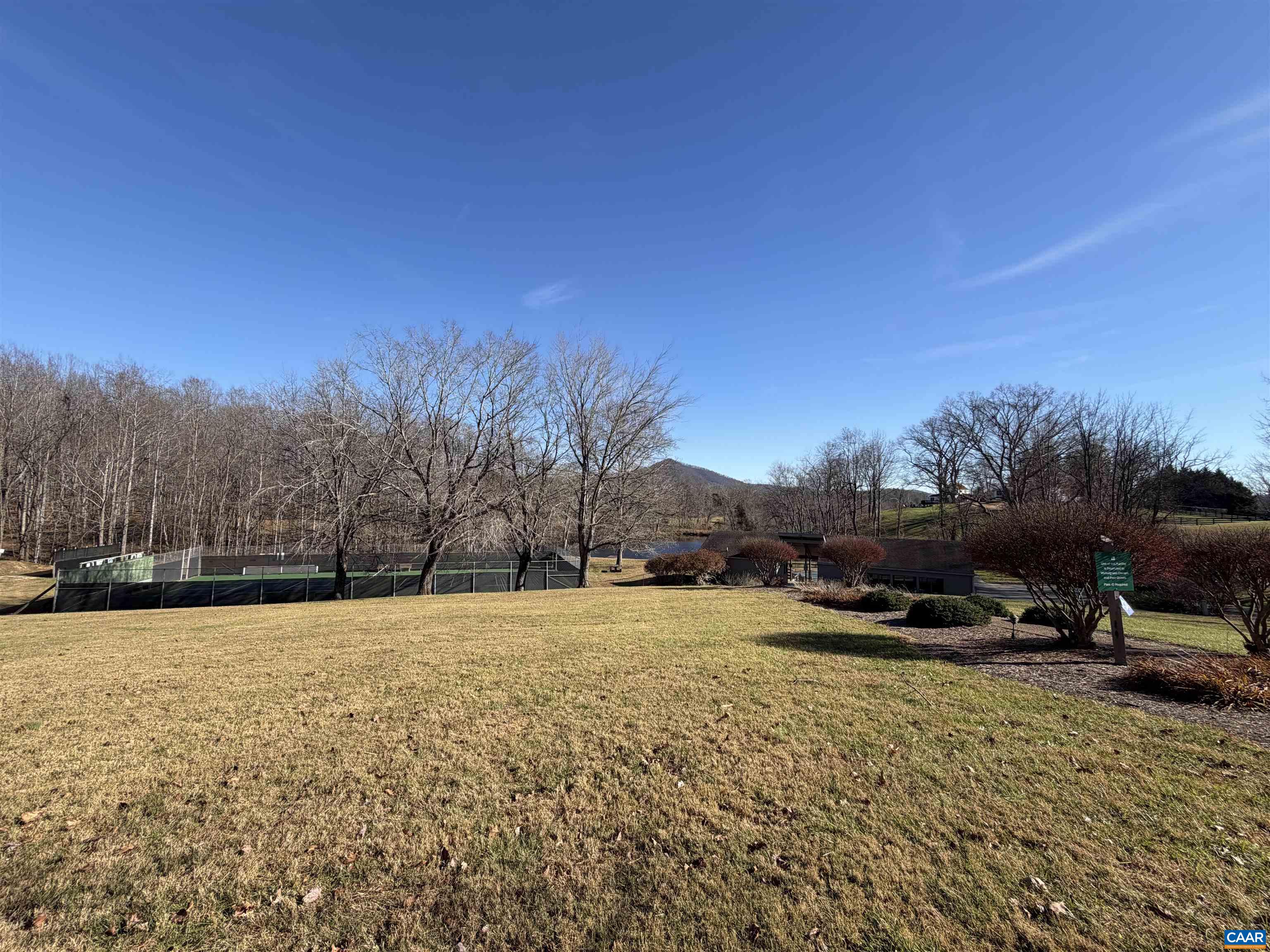 987 Rodes Farm Drive Nellysford, VA 22958 - Photo 74 of 74 a view of swimming pool and trees in the background