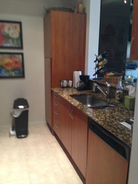 233 South Federal Highway Boca Raton, FL 33432 - Photo 3 of 9 IMG_1585