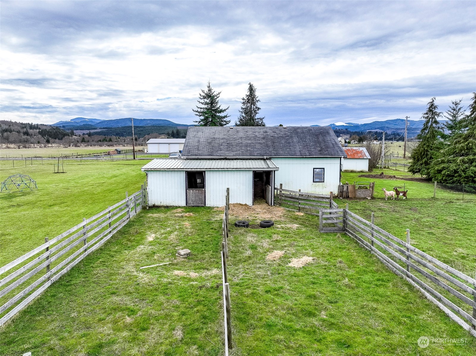 127 Beam Road Chehalis, WA 98532 - Photo 8 of 40 a view of a house with a yard and a large tree