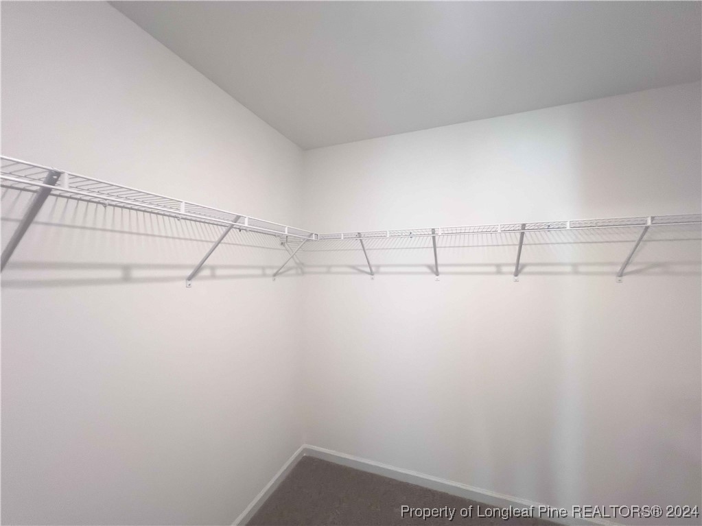 4845 Blue Springs Road Red Springs, NC 28377 - Photo 20 of 29 Gallery Image 20