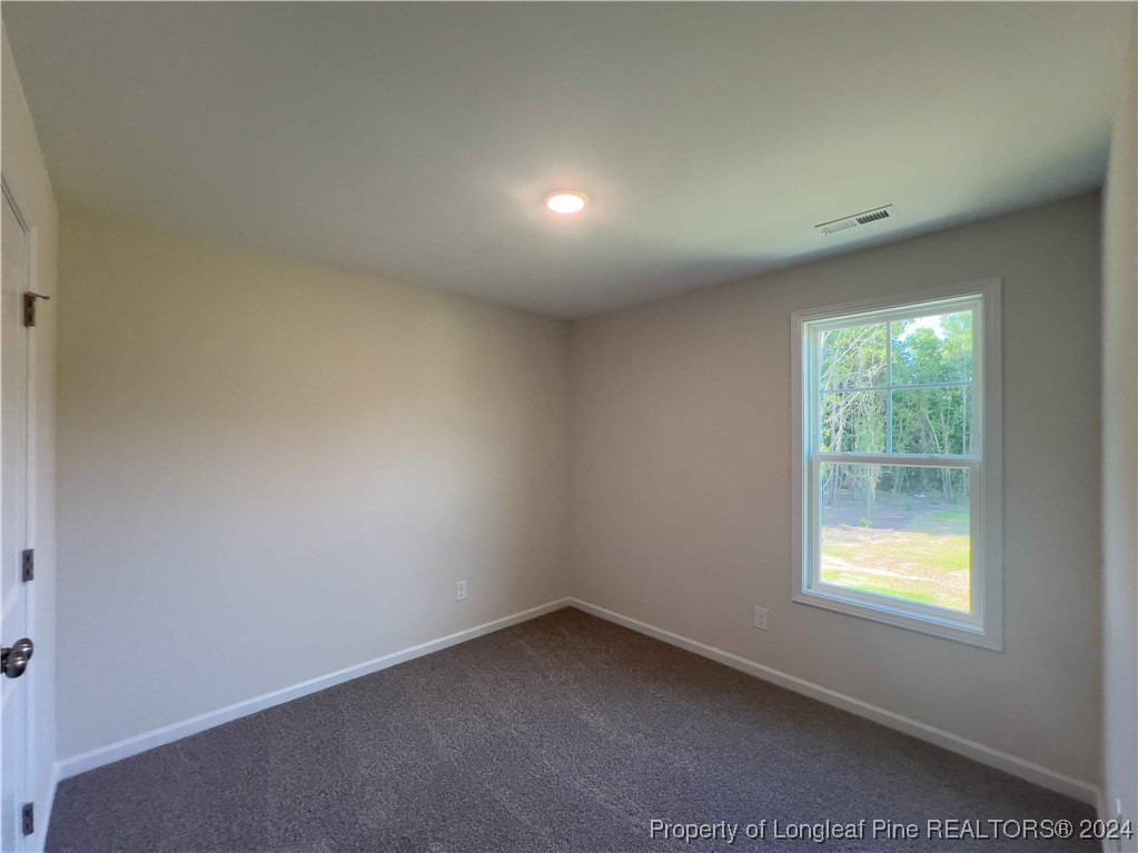 4845 Blue Springs Road Red Springs, NC 28377 - Photo 23 of 29 Gallery Image 23