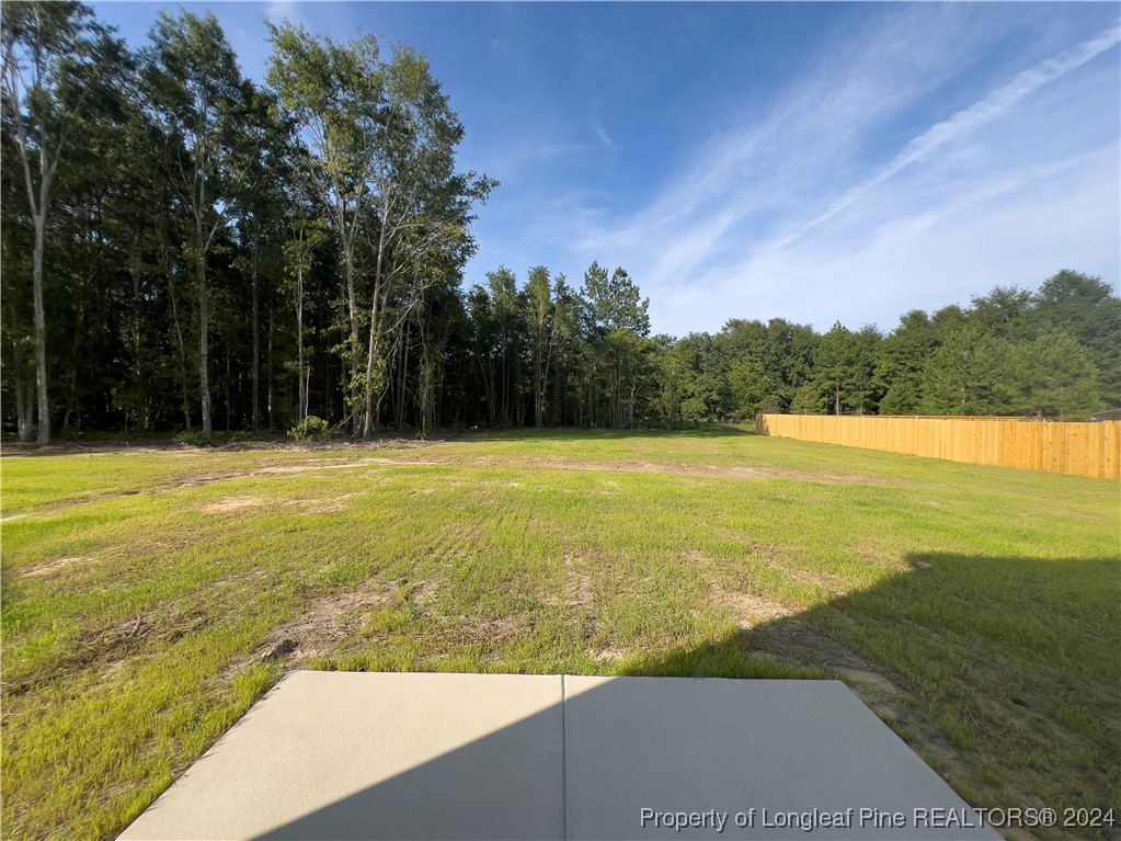 4845 Blue Springs Road Red Springs, NC 28377 - Photo 25 of 29 Gallery Image 25