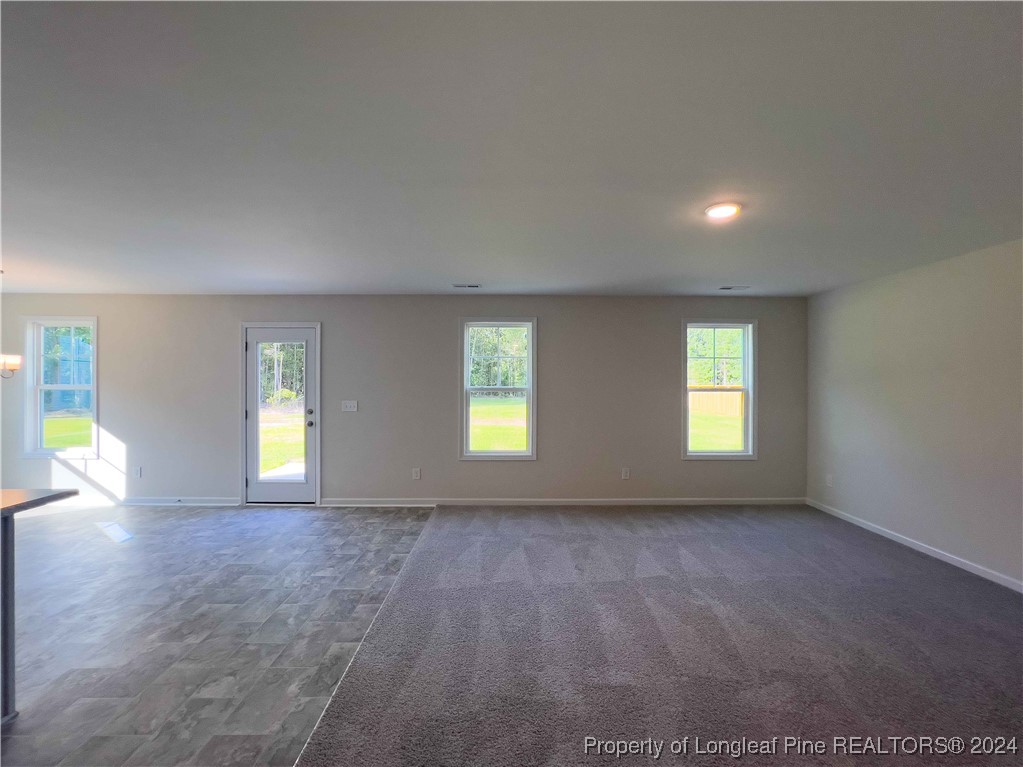 4845 Blue Springs Road Red Springs, NC 28377 - Photo 4 of 29 Gallery Image 4