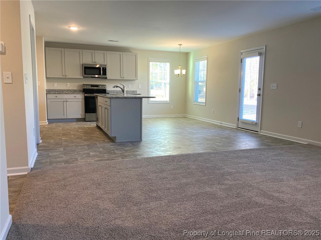 4845 Blue Springs Road Red Springs, NC 28377 - Photo 5 of 29 Gallery Image 5
