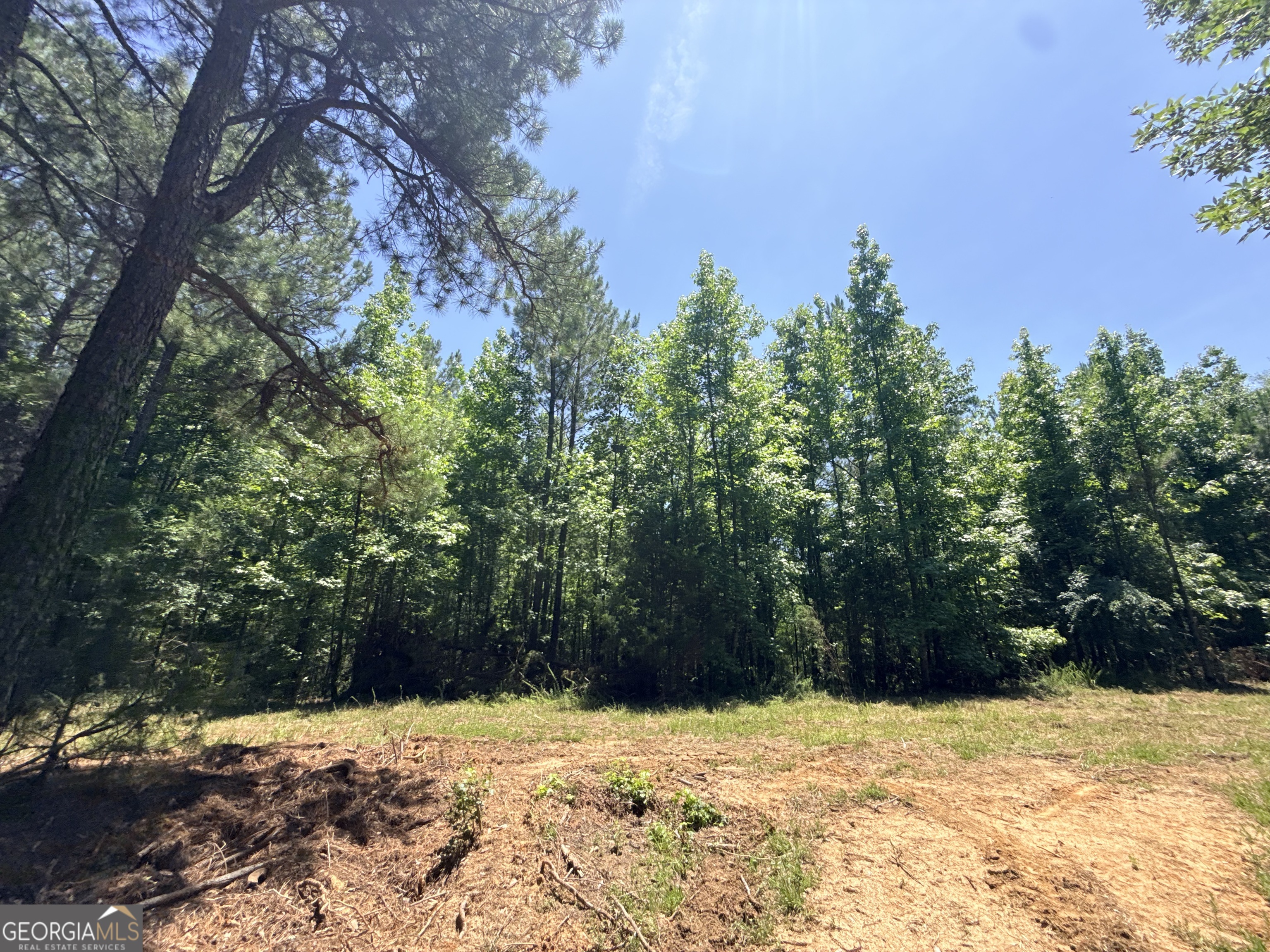 2807 Cedar Creek Road Elberton, GA 30635 - Photo 13 of 109