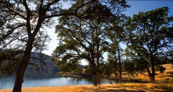 $725,000 | 383 Quail Creek Drive, Copperopolis, CA 95228