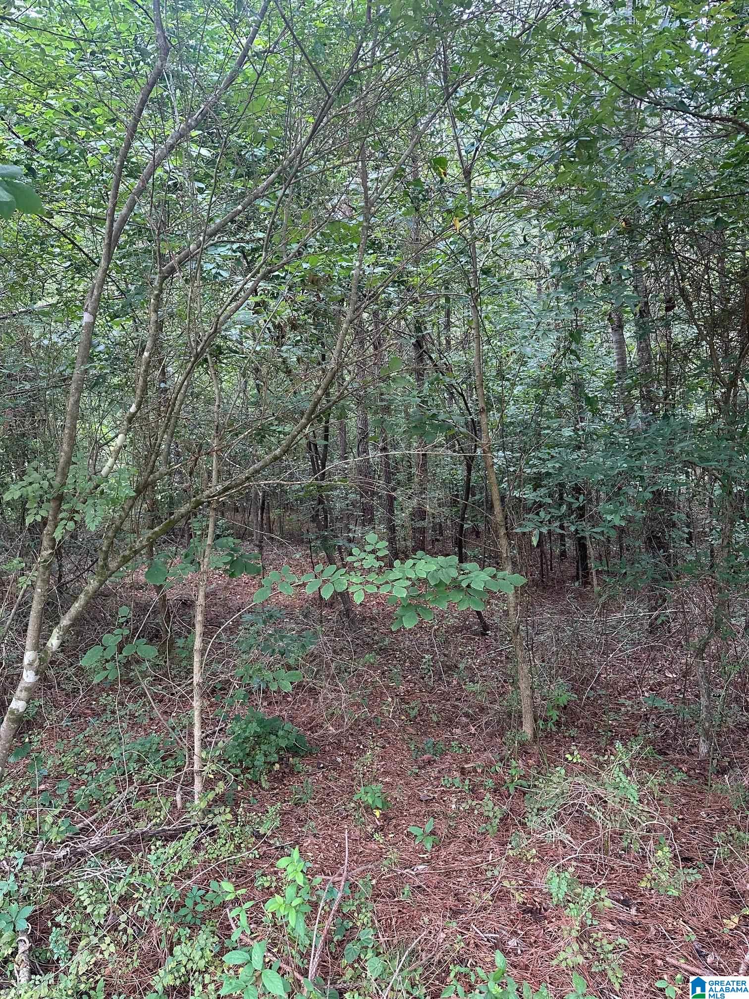 715 Fallview Court, Unit 85 Odenville, AL 35120 - Photo 3 of 6