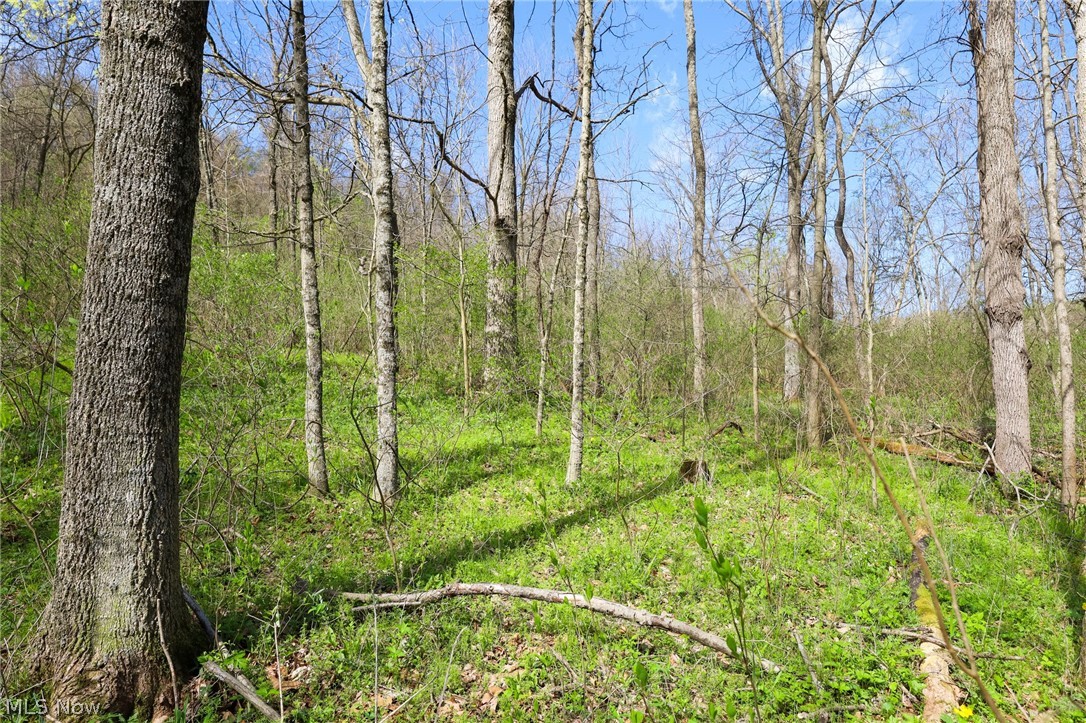 Jacks Run Road Quaker City, OH 43773 - Photo 23 of 50 Gallery Image 23