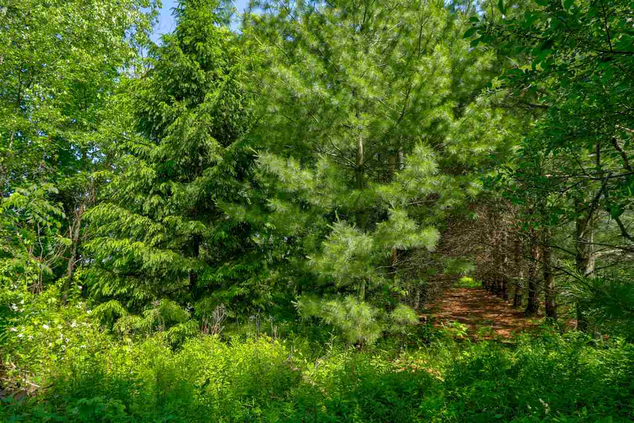 10025 Elms Road Montrose, MI 48457 - Photo 37 of 47