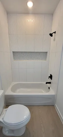 a bathroom with a toilet and a bathtub