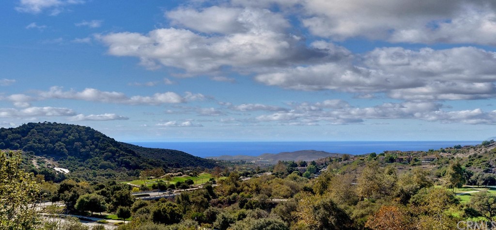 31 Via Soria San Clemente, CA 92673 - Photo 25 of 59