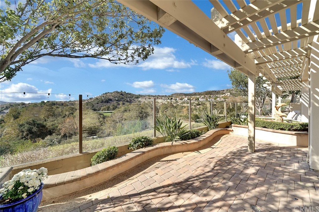31 Via Soria San Clemente, CA 92673 - Photo 43 of 59 a view of a backyard of a house