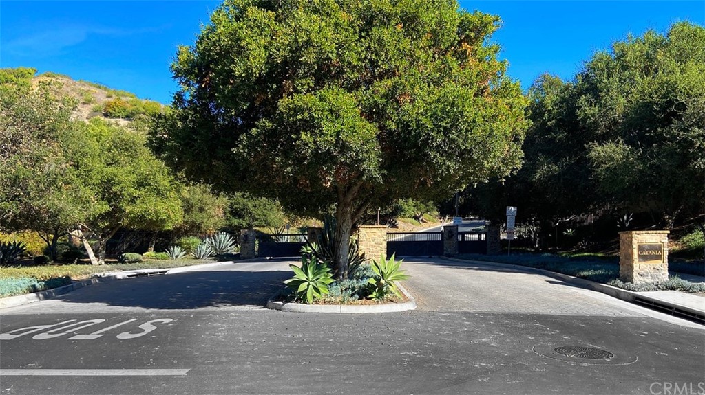 31 Via Soria San Clemente, CA 92673 - Photo 54 of 59 a park view with large trees