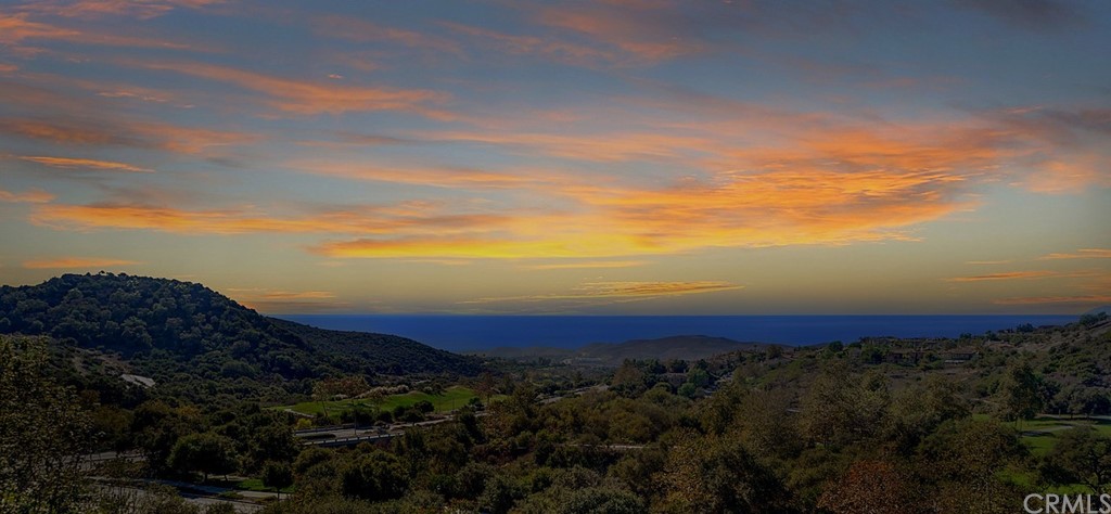 31 Via Soria San Clemente, CA 92673 - Photo 59 of 59