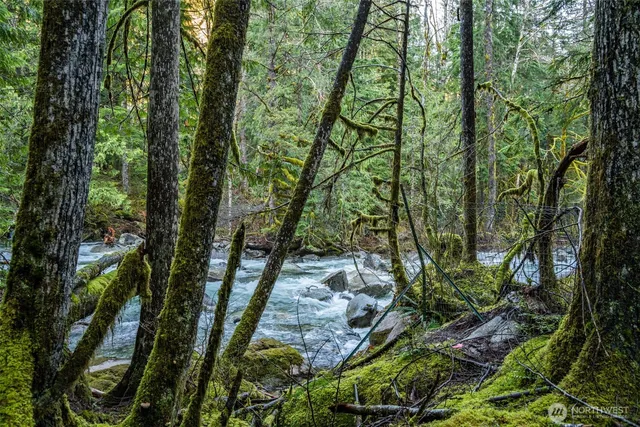 $199,000 | 63335 Northeast Index Creek Road, Gold Bar, WA 98251