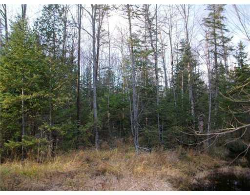 1 Mineral Springs Road Peru, ME 04290 - Photo 7 of 8 Land/Lot.