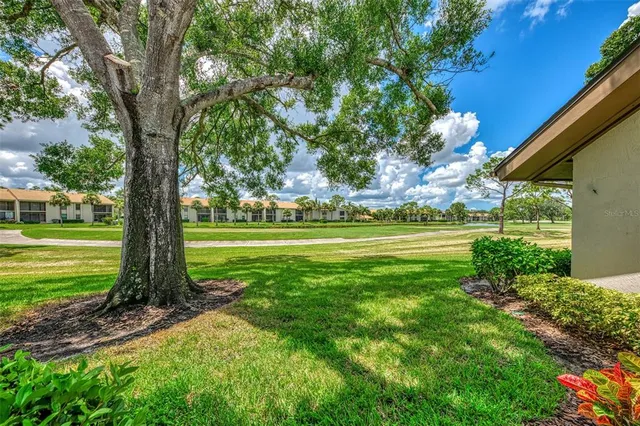 a view of a big yard