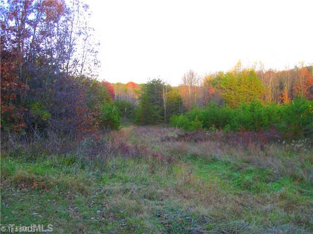 1839 Dillard Road Madison, NC 27025 - Photo 6 of 16 Land.