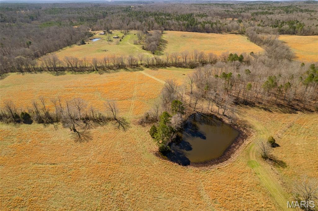 1091 Ripley J-2 Doniphan, MO 63935 - Photo 11 of 19