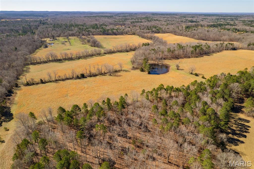 1091 Ripley J-2 Doniphan, MO 63935 - Photo 12 of 19