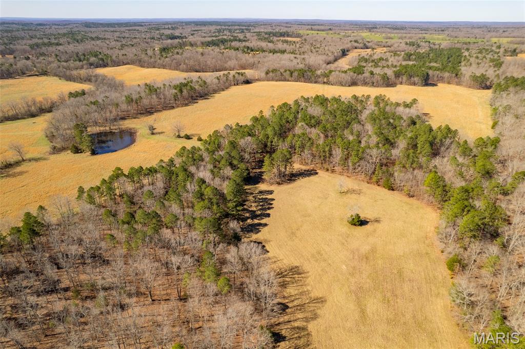 1091 Ripley J-2 Doniphan, MO 63935 - Photo 13 of 19