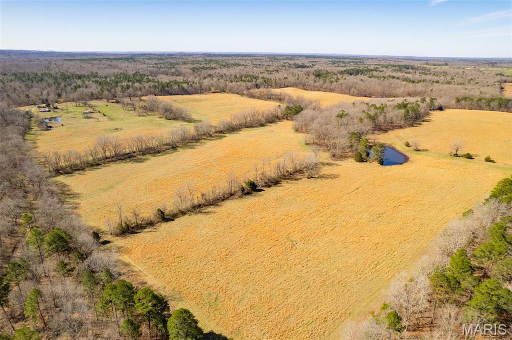 1091 Ripley J-2 Doniphan, MO 63935 - Photo 14 of 19