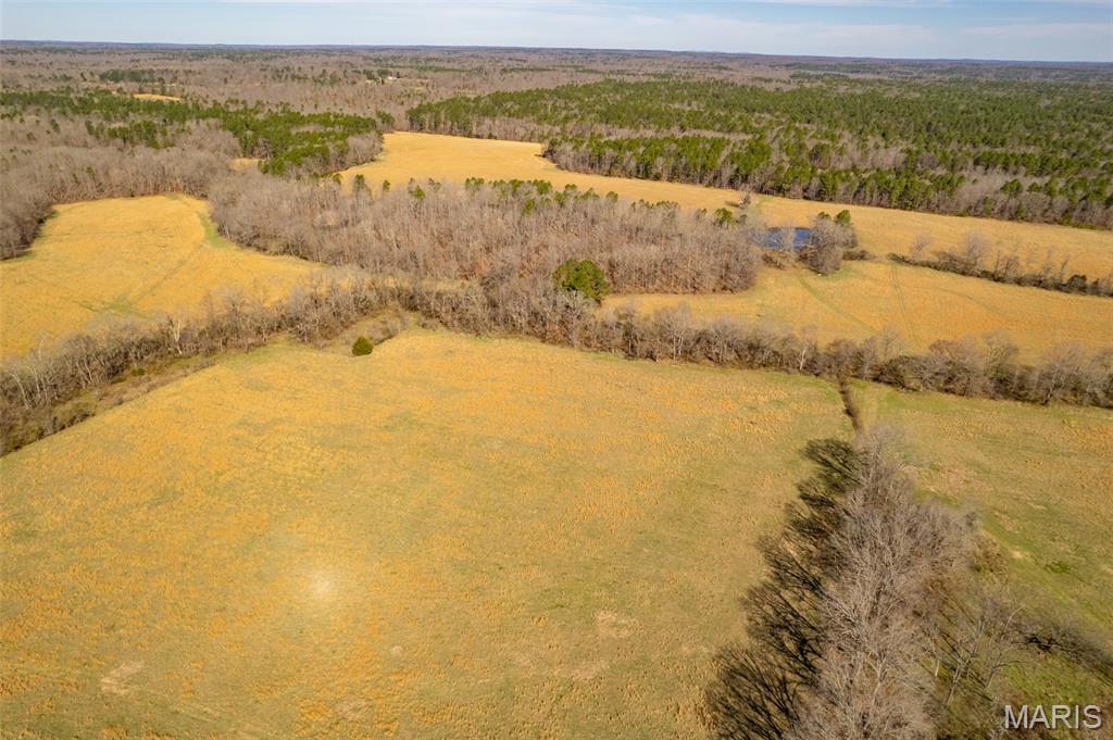 1091 Ripley J-2 Doniphan, MO 63935 - Photo 18 of 19