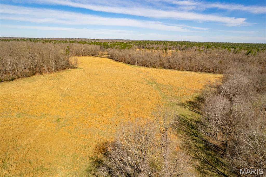 1091 Ripley J-2 Doniphan, MO 63935 - Photo 19 of 19