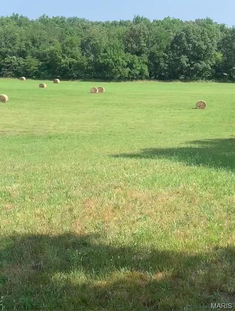 1091 Ripley J-2 Doniphan, MO 63935 - Photo 2 of 19