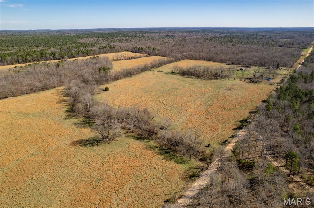 1091 Ripley J-2 Doniphan, MO 63935 - Photo 4 of 19