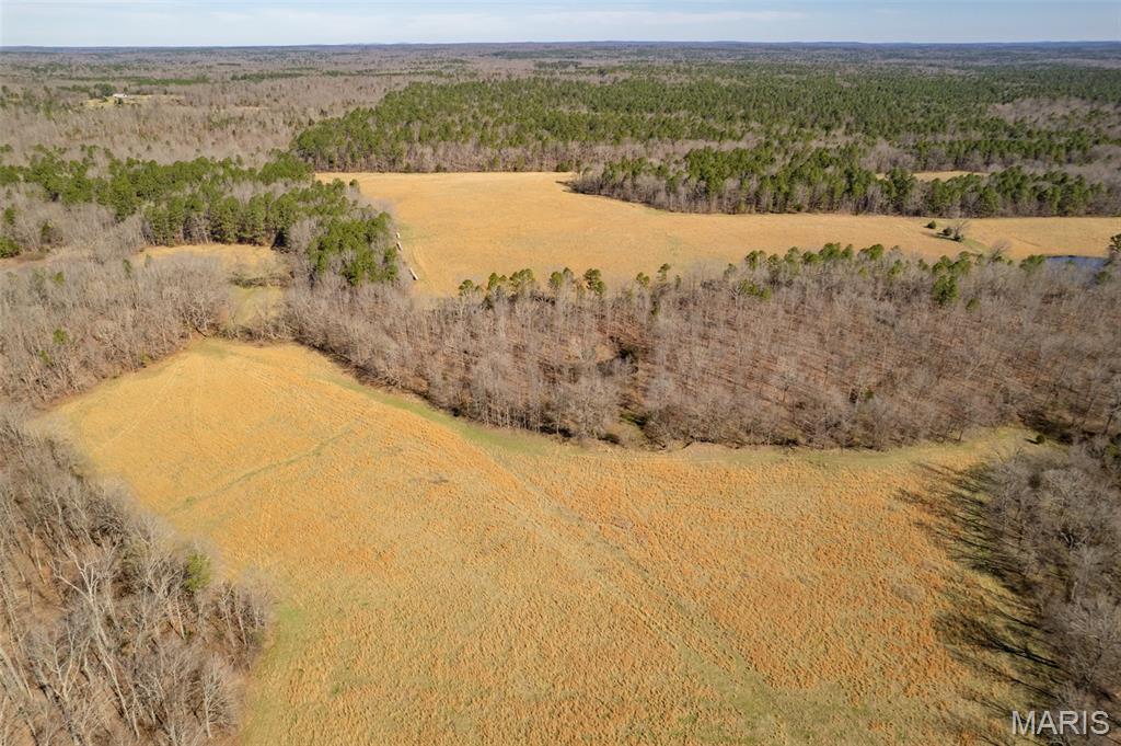 1091 Ripley J-2 Doniphan, MO 63935 - Photo 5 of 19