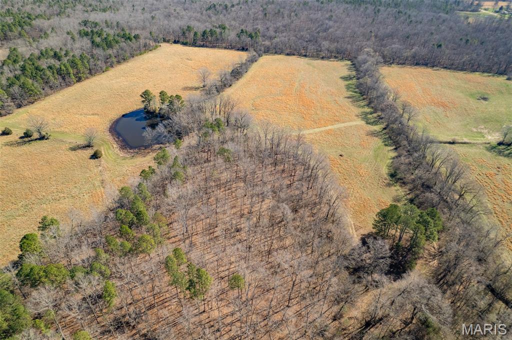 1091 Ripley J-2 Doniphan, MO 63935 - Photo 6 of 19