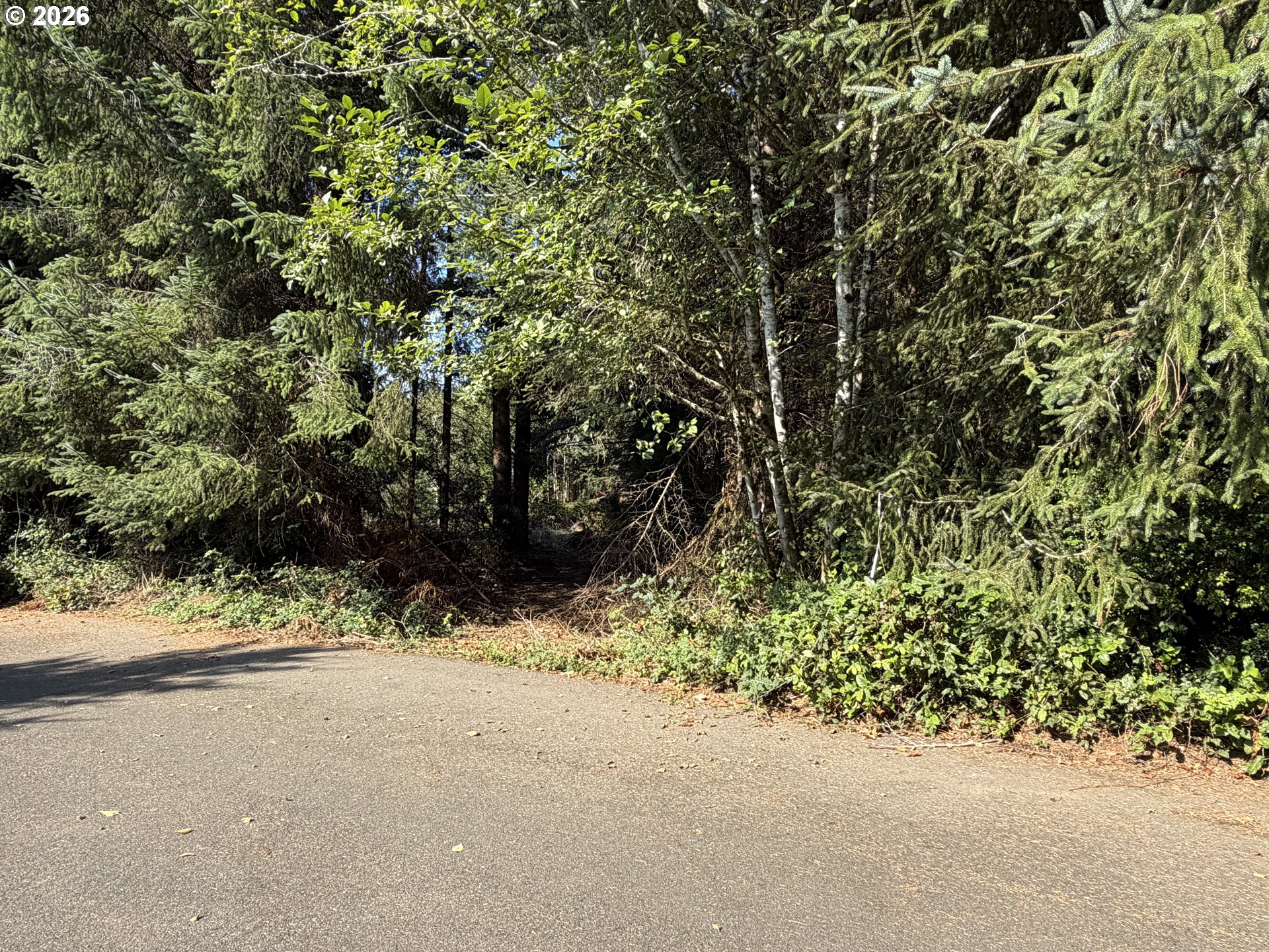 Clear Lake Road Florence, OR 97439 - Photo 3 of 38 Gallery Image 3