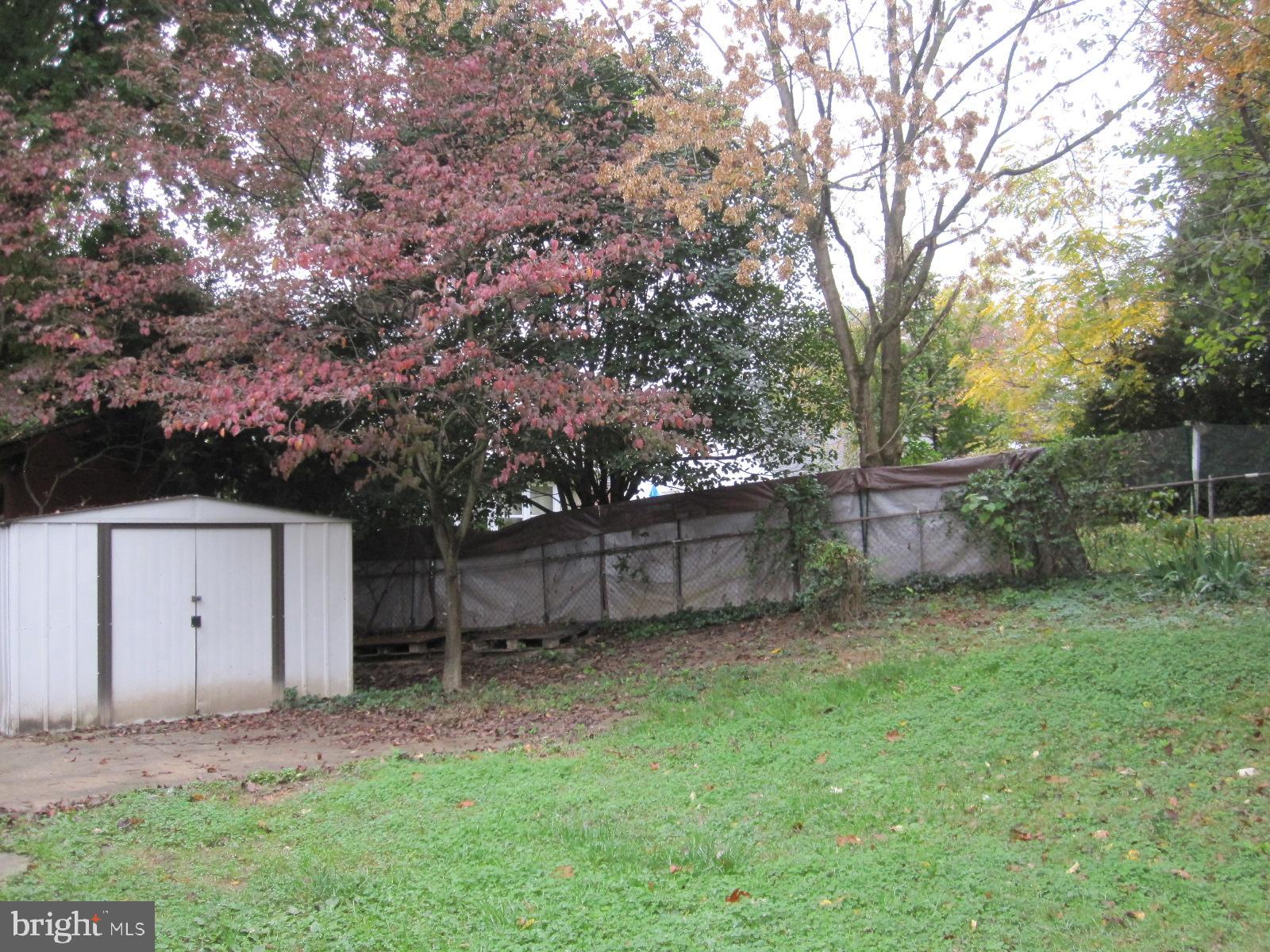 12602 Denley Road Silver Spring, MD 20906 - Photo 3 of 17 Back Yard with Shed