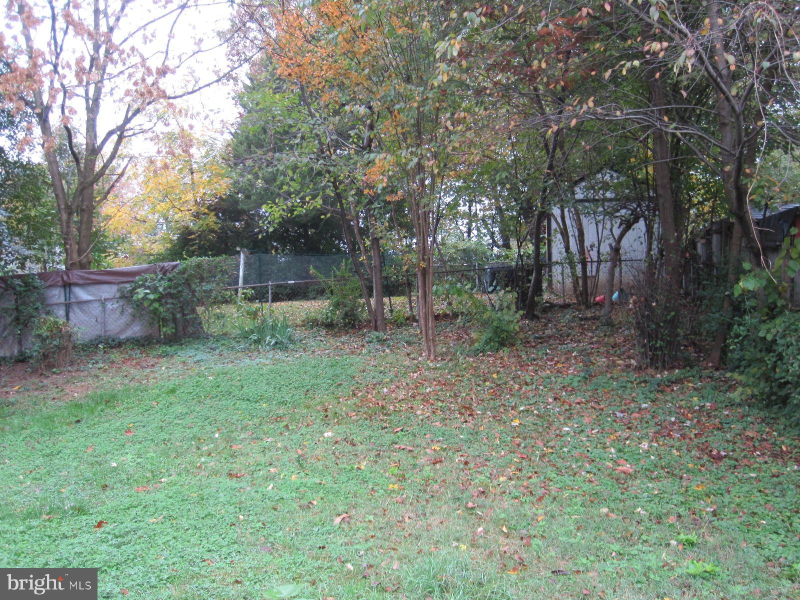 12602 Denley Road Silver Spring, MD 20906 - Photo 4 of 17 Back Yard