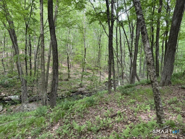 Lot10-b1 Foot Hills Road Higganum, CT 06441 - Photo 17 of 33 a view of outdoor space and green space