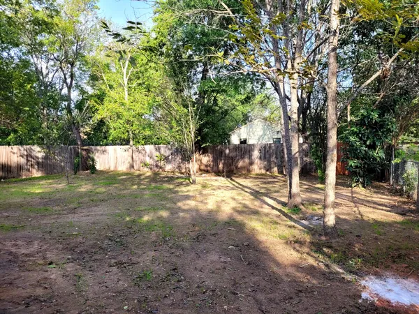 a view of a yard with large trees