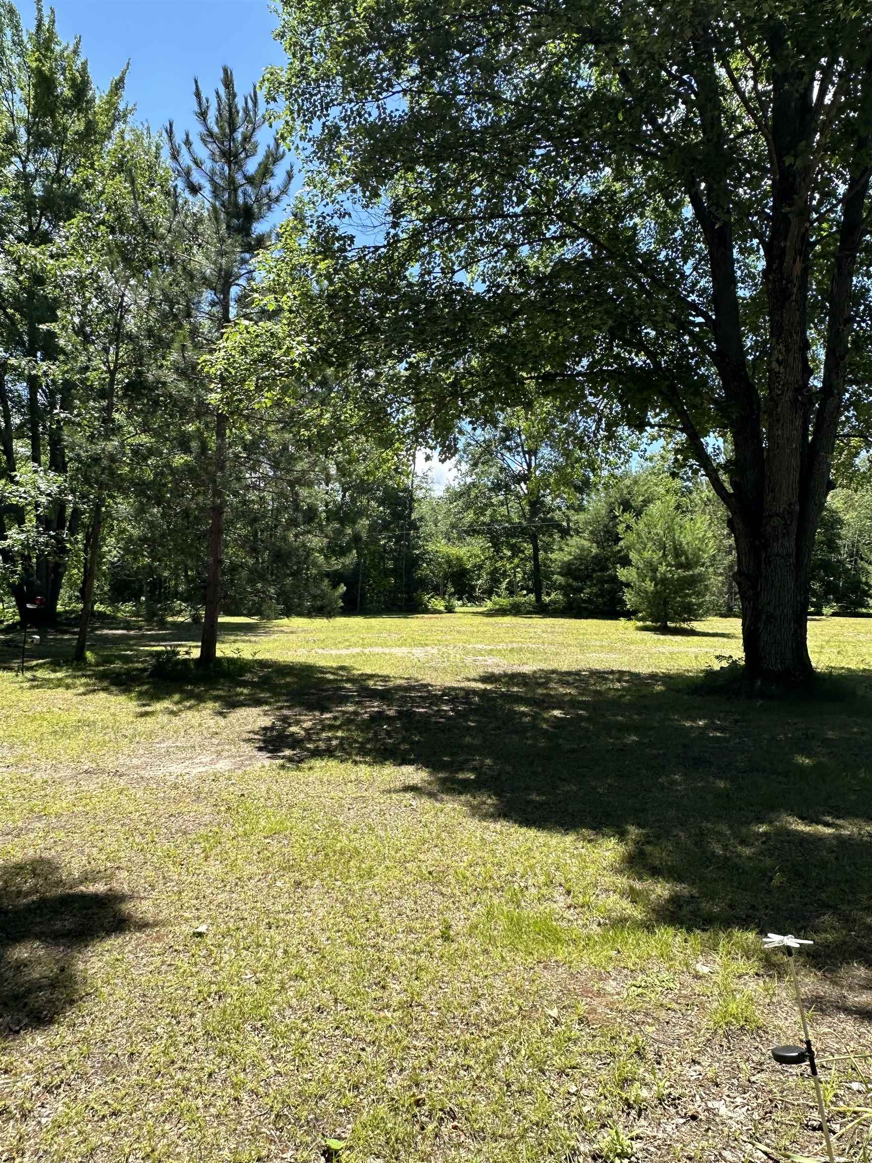 0 North Hodenpyl Dam Road Mesick, MI 49668 - Photo 5 of 11
