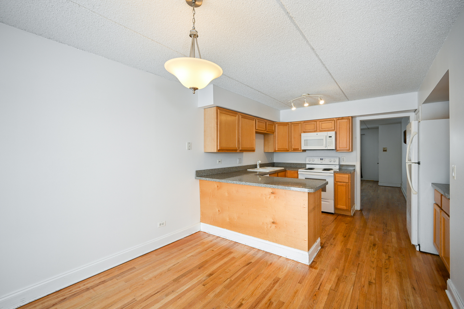 1348 South Lorraine Road, Unit A Wheaton, IL 60189 - Photo 9 of 21 a large kitchen with a wooden floor and stainless steel appliances