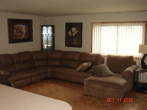 160 North Pinecrest Road Bolingbrook, IL 60440 - Photo 4 of 12 a living room with furniture and a window