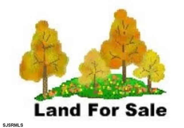 a view of a back yard