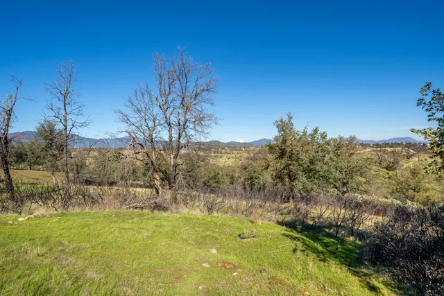 a view of yard with green space