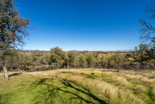 a view of a yard with a tree