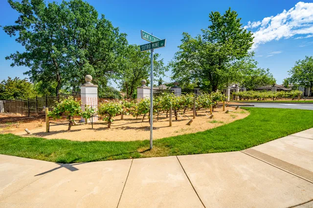 a view of a park with plants and trees