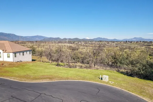 a view of a house with a yard and a large tree