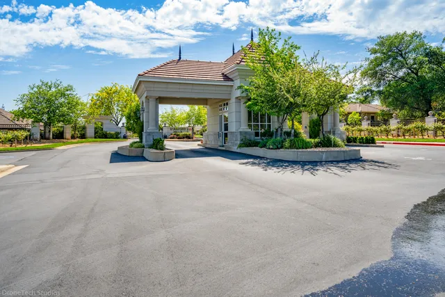 a view of a house with potted plants and a large tree