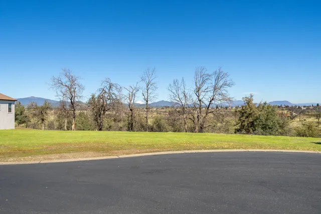 a view of a big yard with palm trees