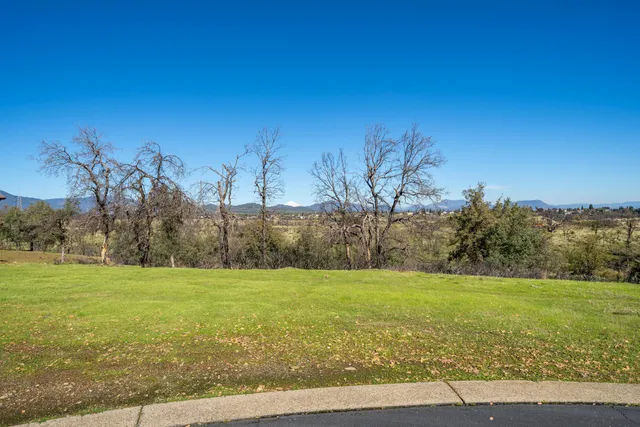 a view of a field with an ocean