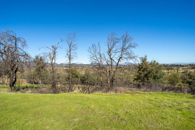 a view of yard with trees